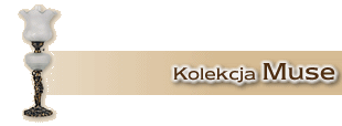 Kolekcja